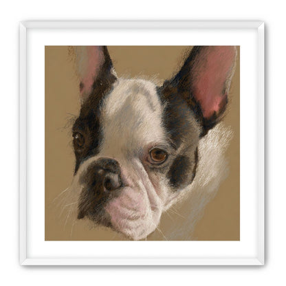 Close portrait with upright ears