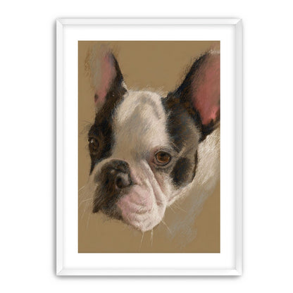 Close portrait with upright ears