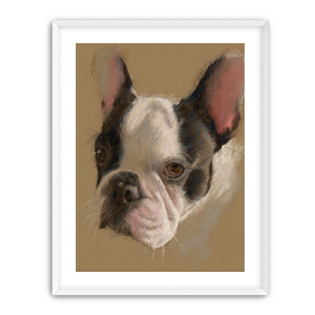 Close portrait with upright ears