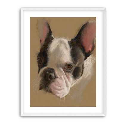 Close portrait with upright ears