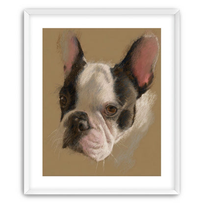 Close portrait with upright ears