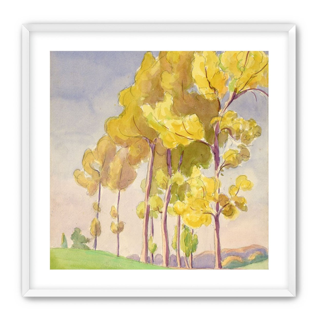 Yellow crowns on the hill