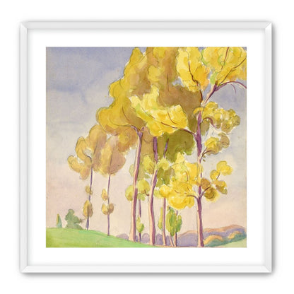 Yellow crowns on the hill