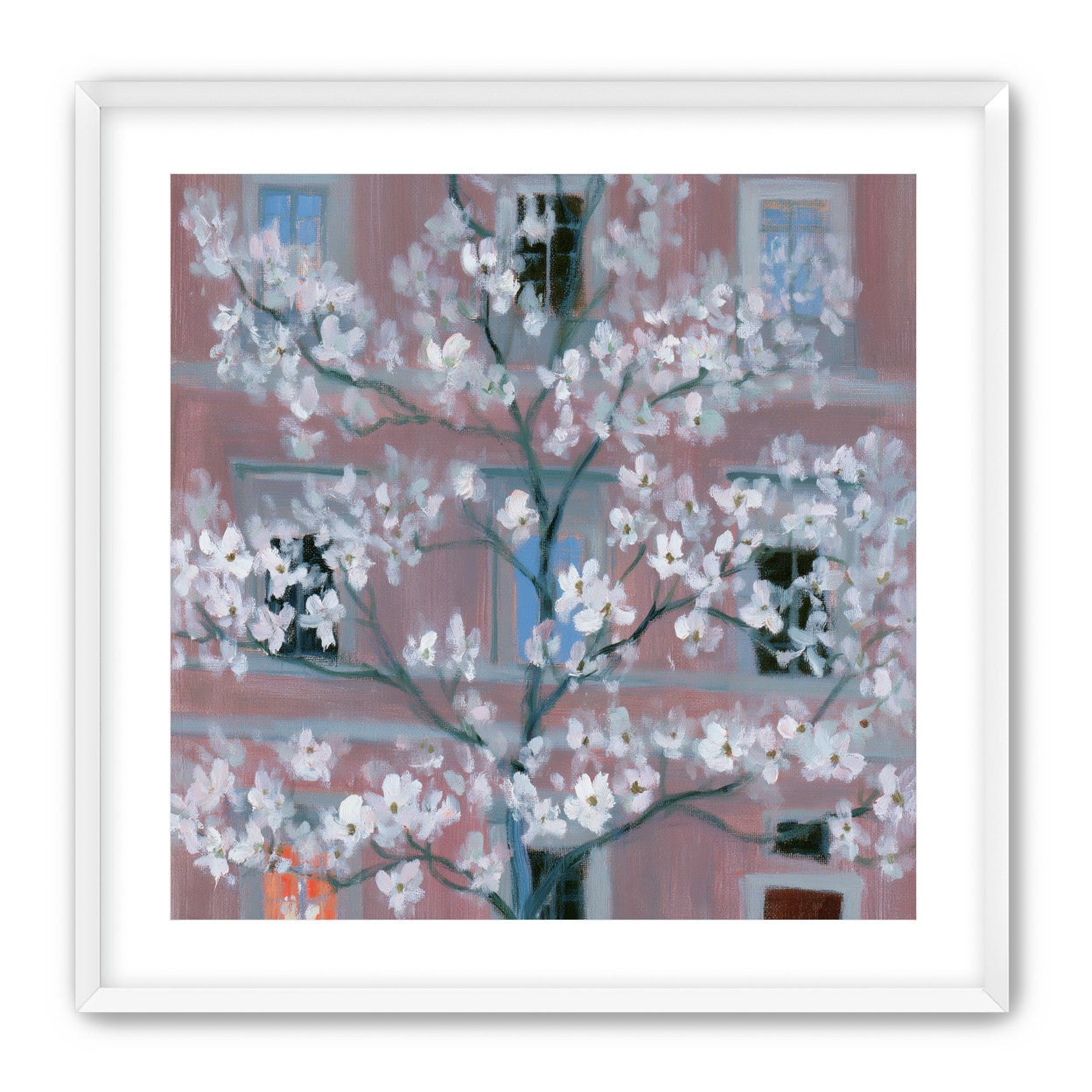 White blossoms against the pink house