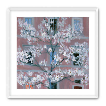 White blossoms against the pink house