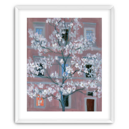 White blossoms against the pink house