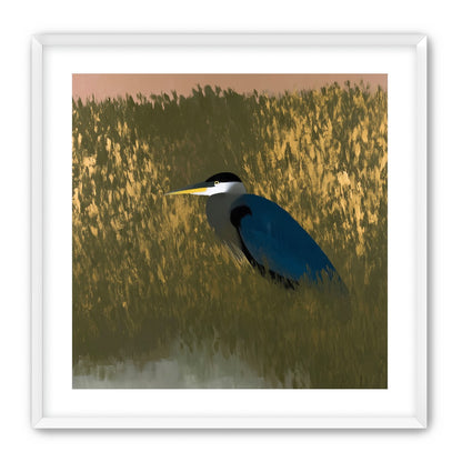 Heron among the reeds