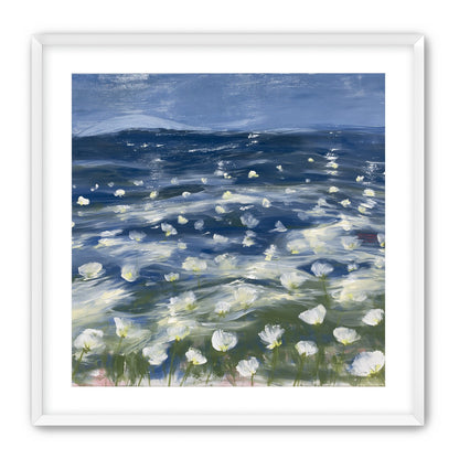 White flowers under blue sky