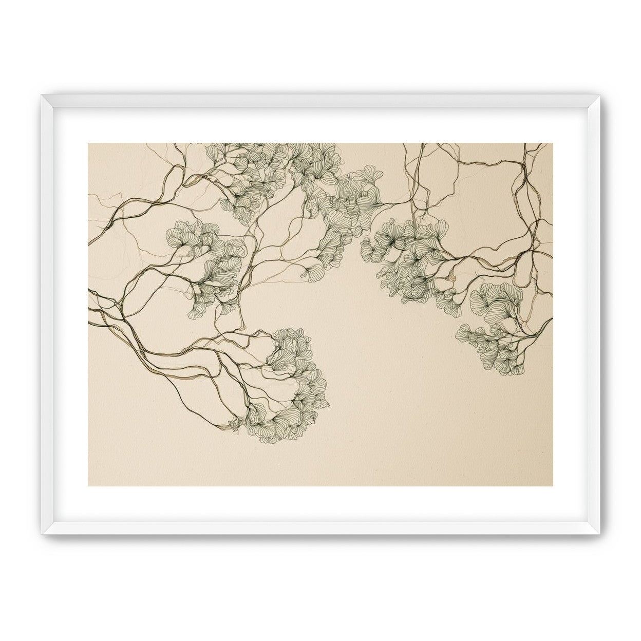 Trees Drawn in Continuous Lines