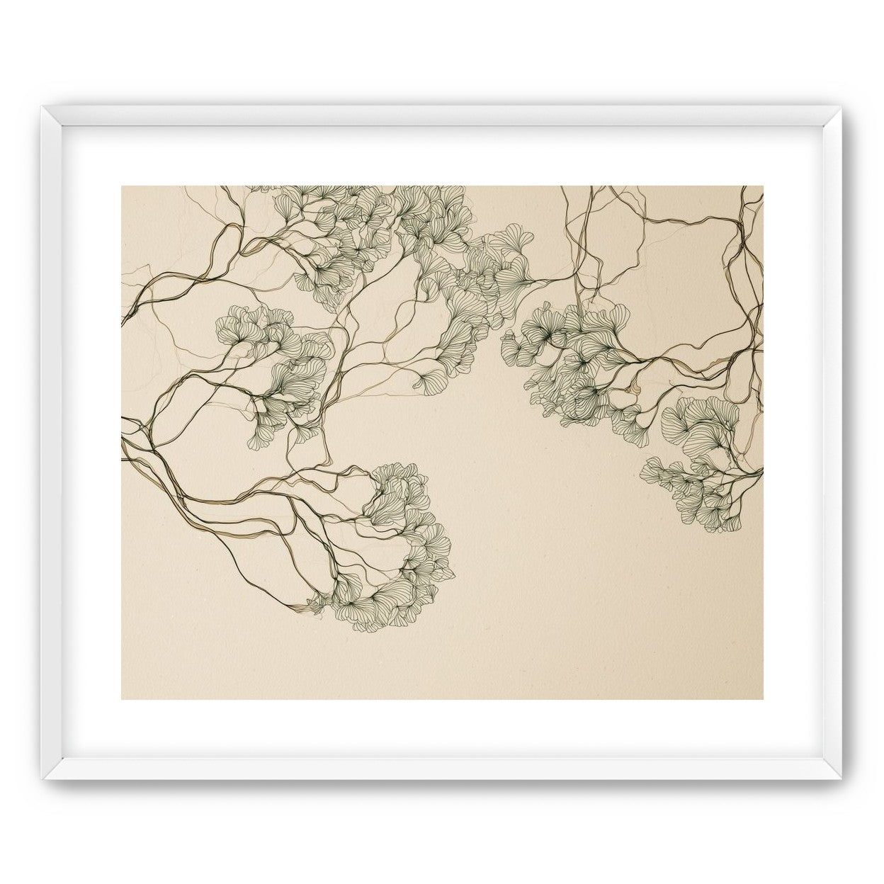 Trees Drawn in Continuous Lines