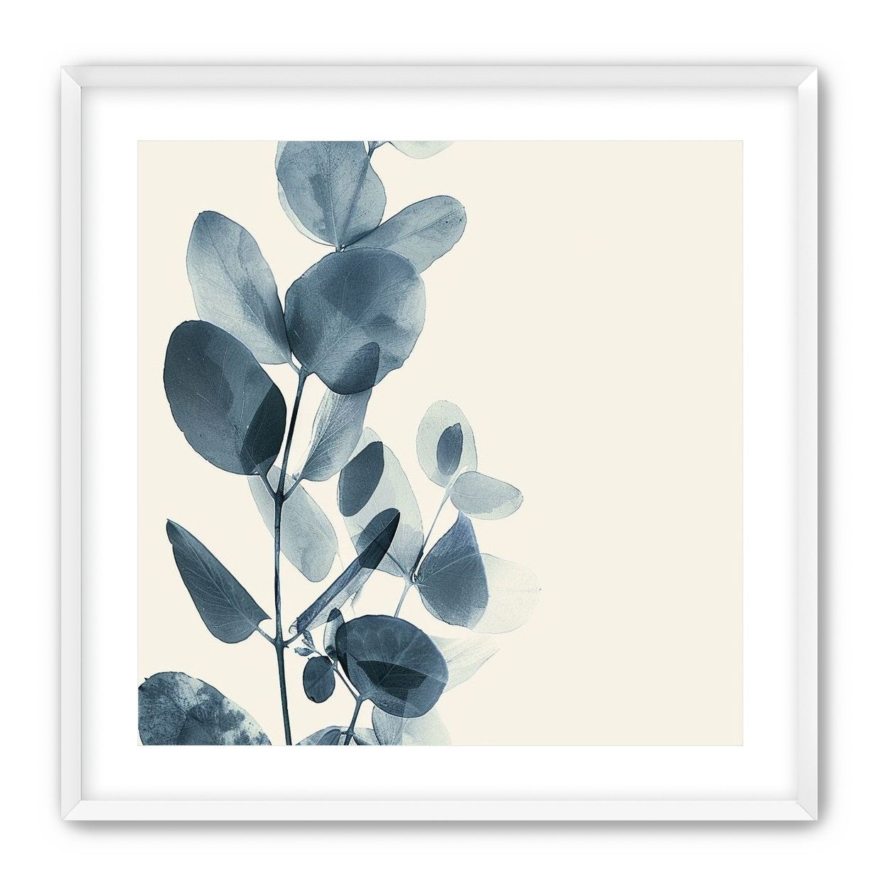Eucalyptus in quiet blue