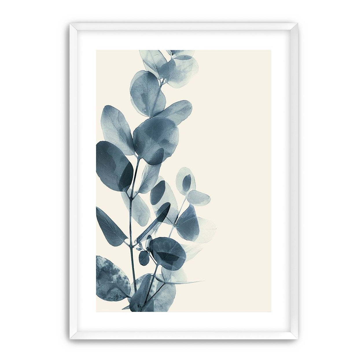 Eucalyptus in quiet blue