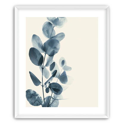 Eucalyptus in quiet blue