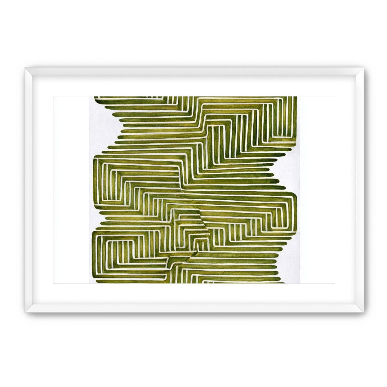 Olive bands in white quiet
