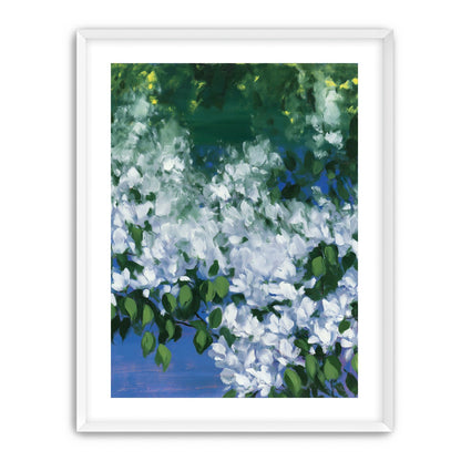 White blossoms over blue shade