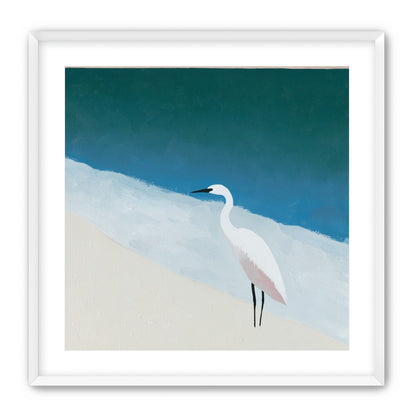 White egret at the shoreline