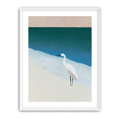 White egret at the shoreline