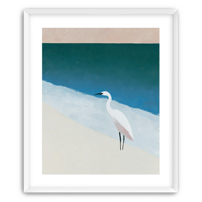 White egret at the shoreline