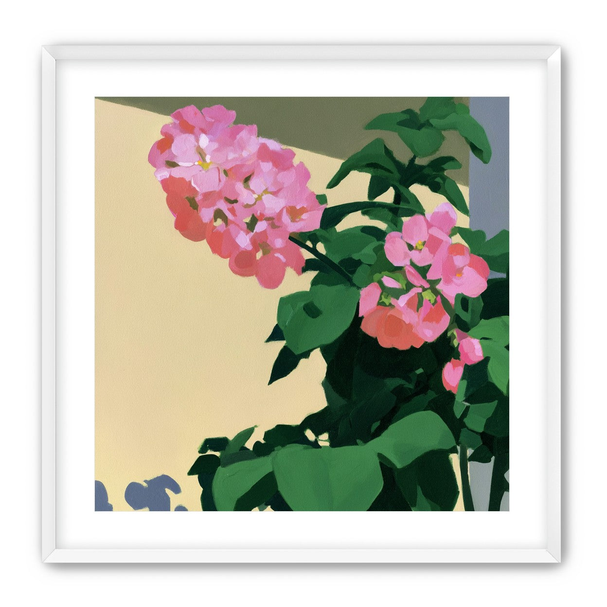 Pink blooms in hard light