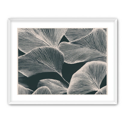 Pale veins on dark leaves
