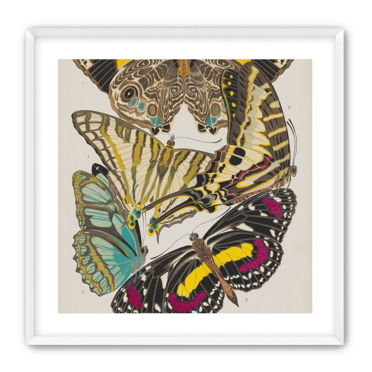 Butterflies among blank paper