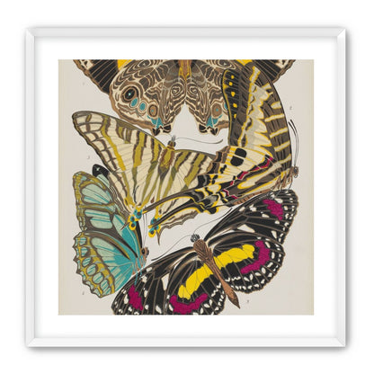Butterflies among blank paper