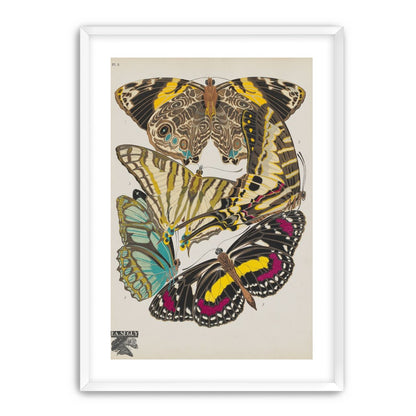 Butterflies among blank paper