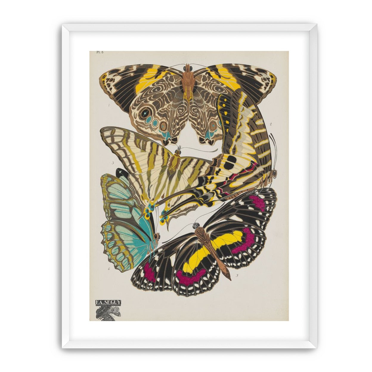 Butterflies among blank paper