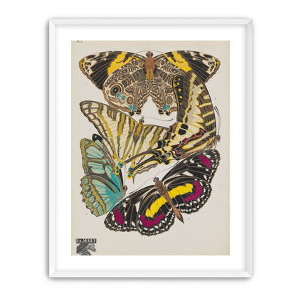 Butterflies among blank paper