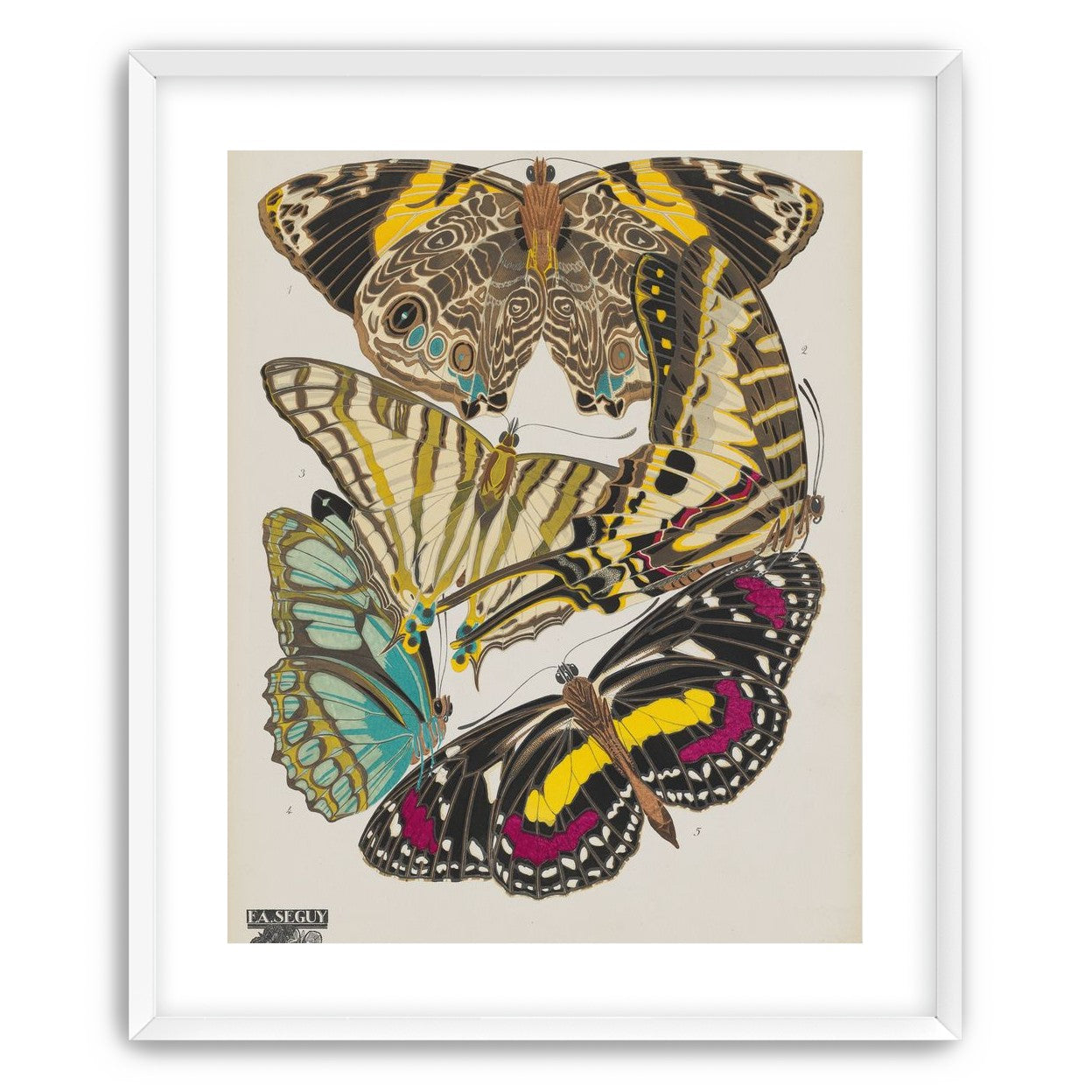 Butterflies among blank paper