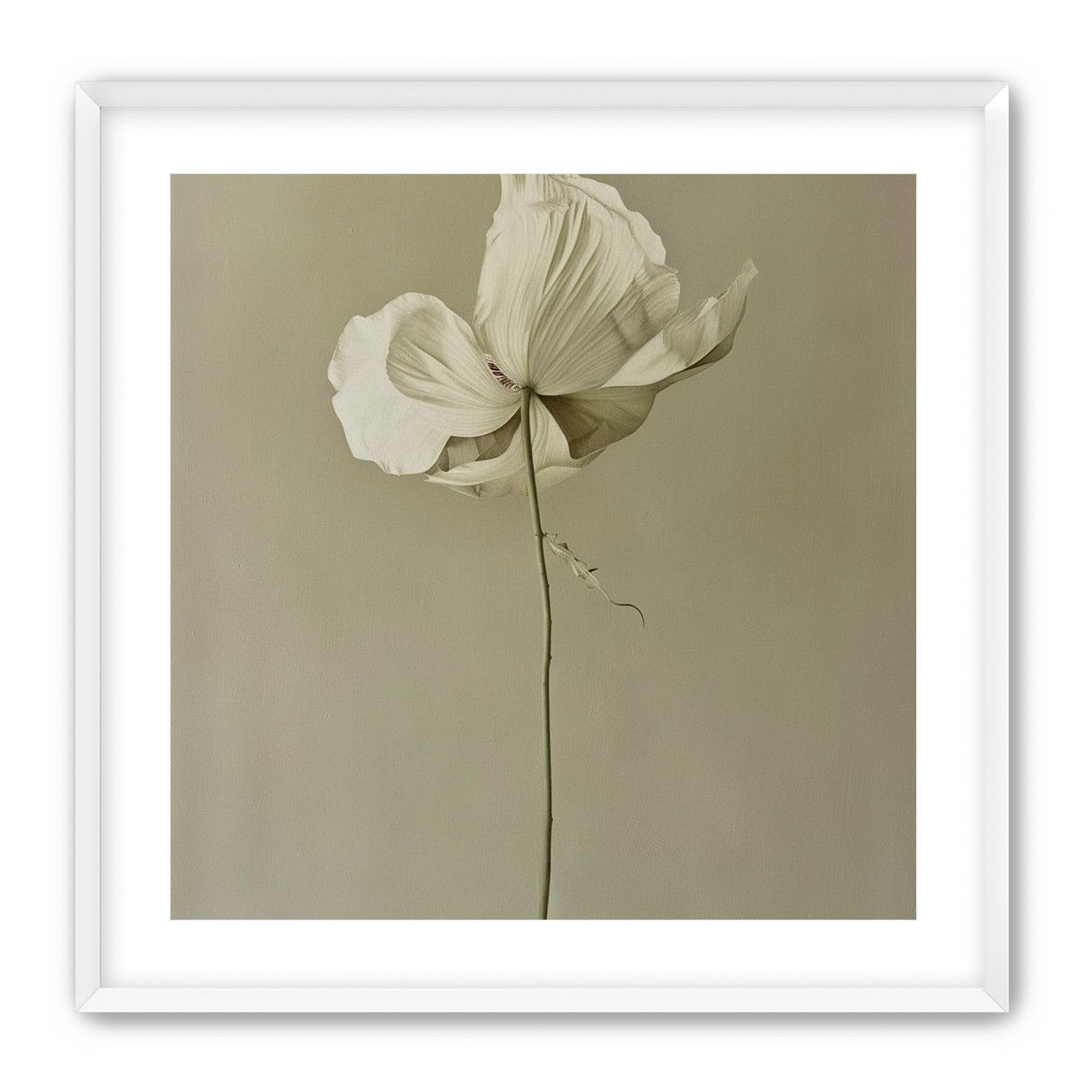 Ivory bloom in gray air