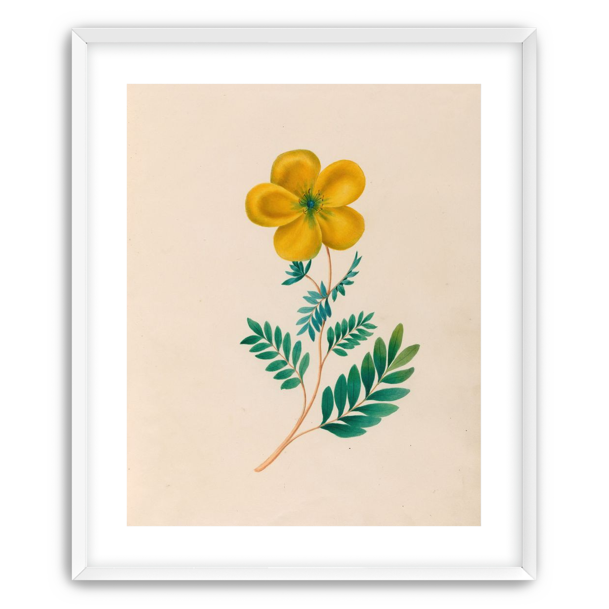 Yellow flower on pale paper