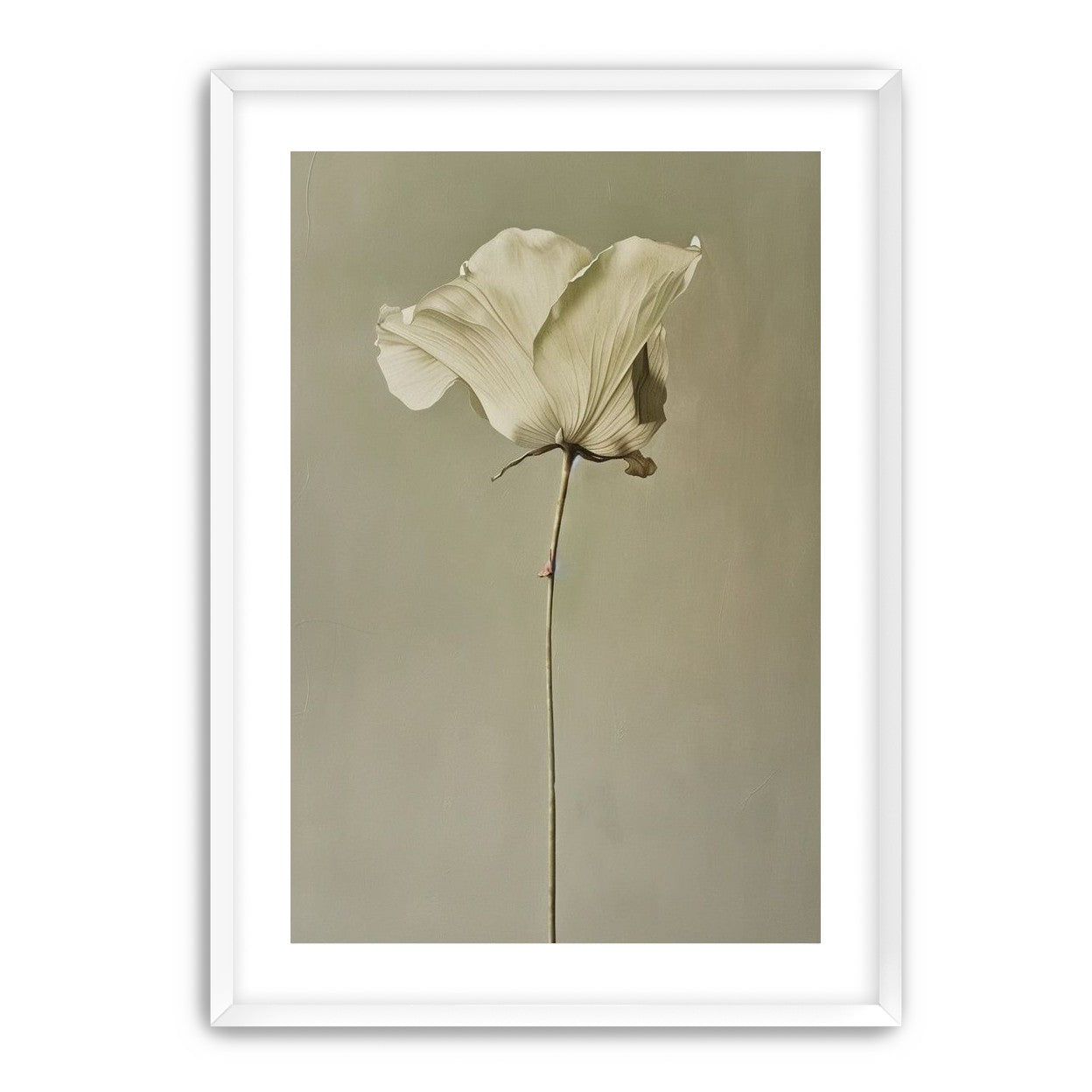 One flower and its hush