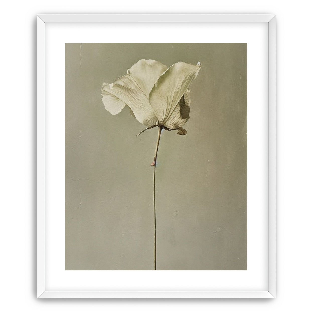 One flower and its hush