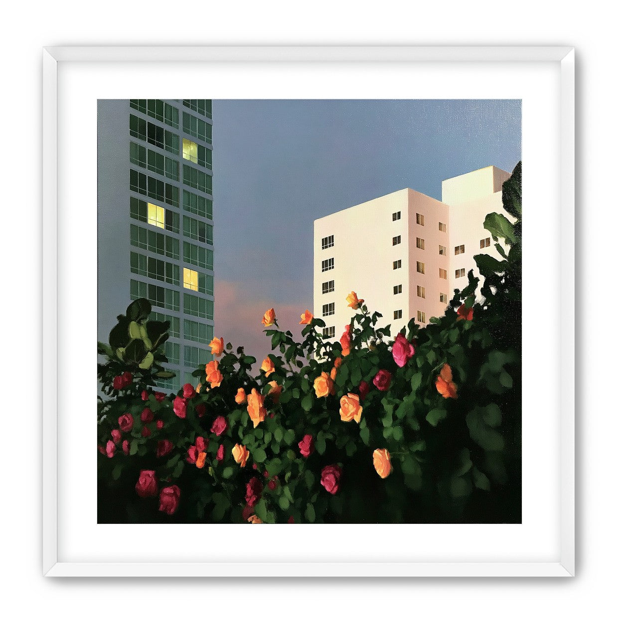 Roses below lit windows