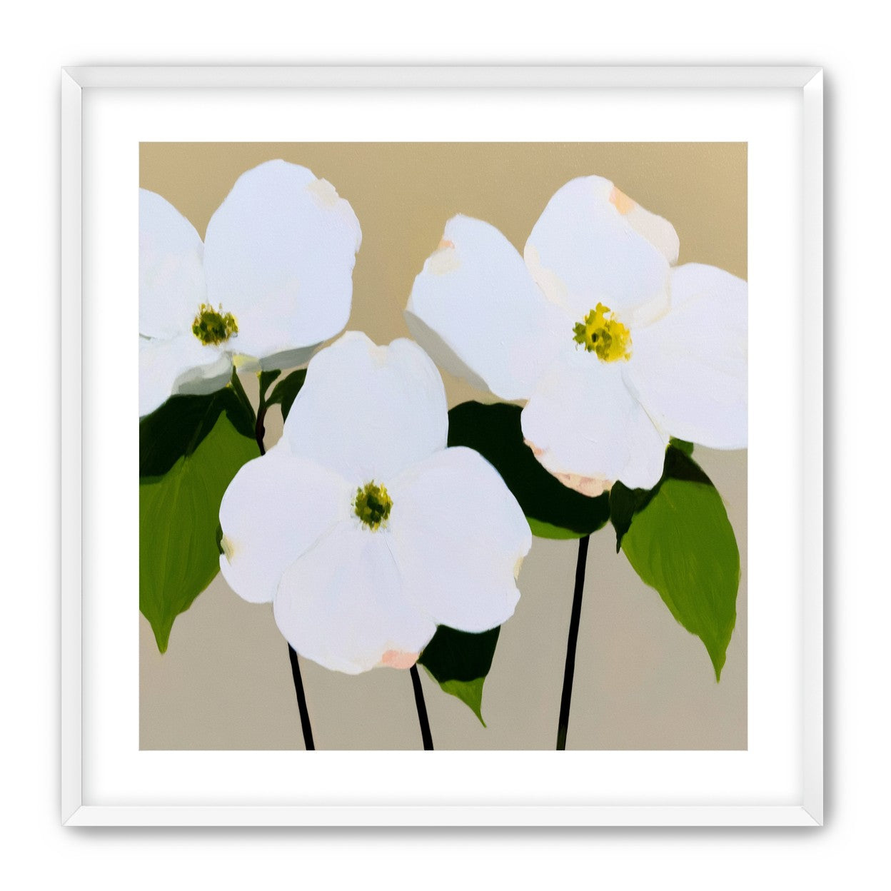 Three white flowers above purple