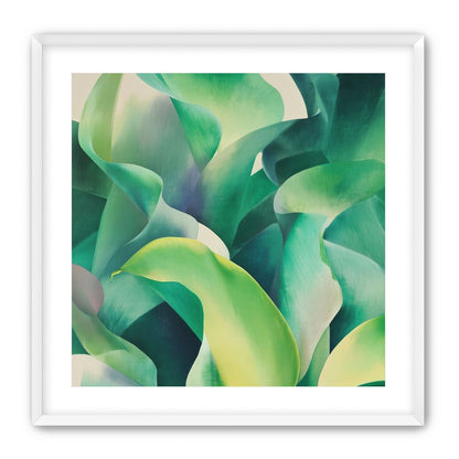 Calla lilies crowd the light