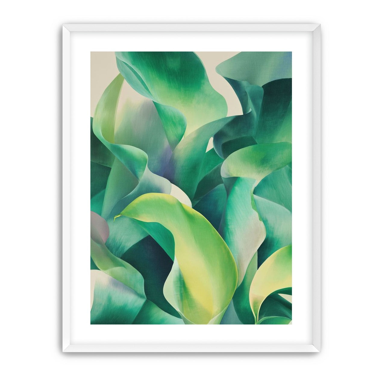 Calla lilies crowd the light
