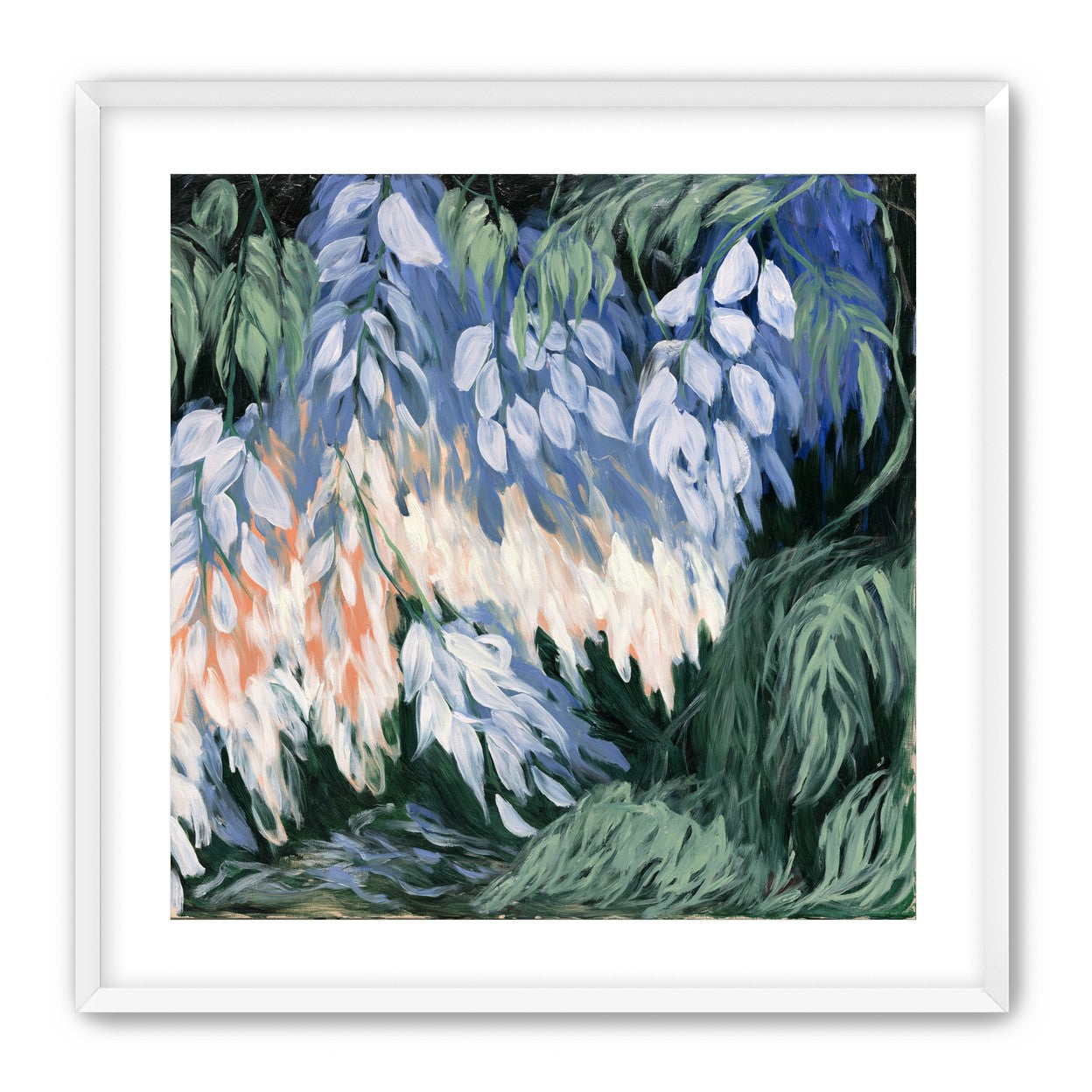 White blossoms in blue shade