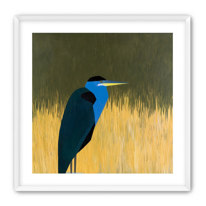 Blue bird in yellow grass