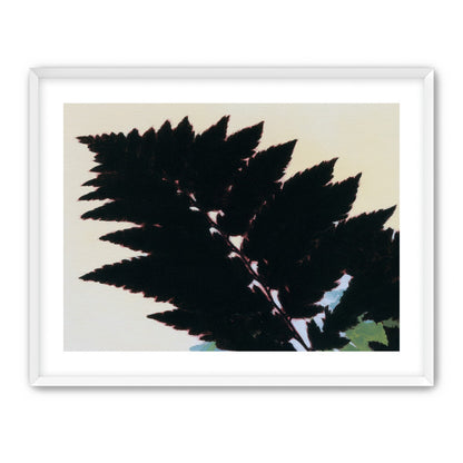 Black leaves on pale ground