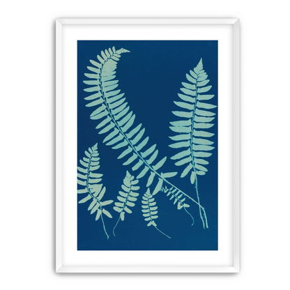 Fern shadows in blue