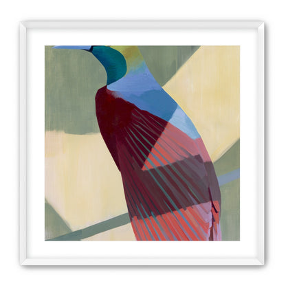 Teal throat on maroon wing