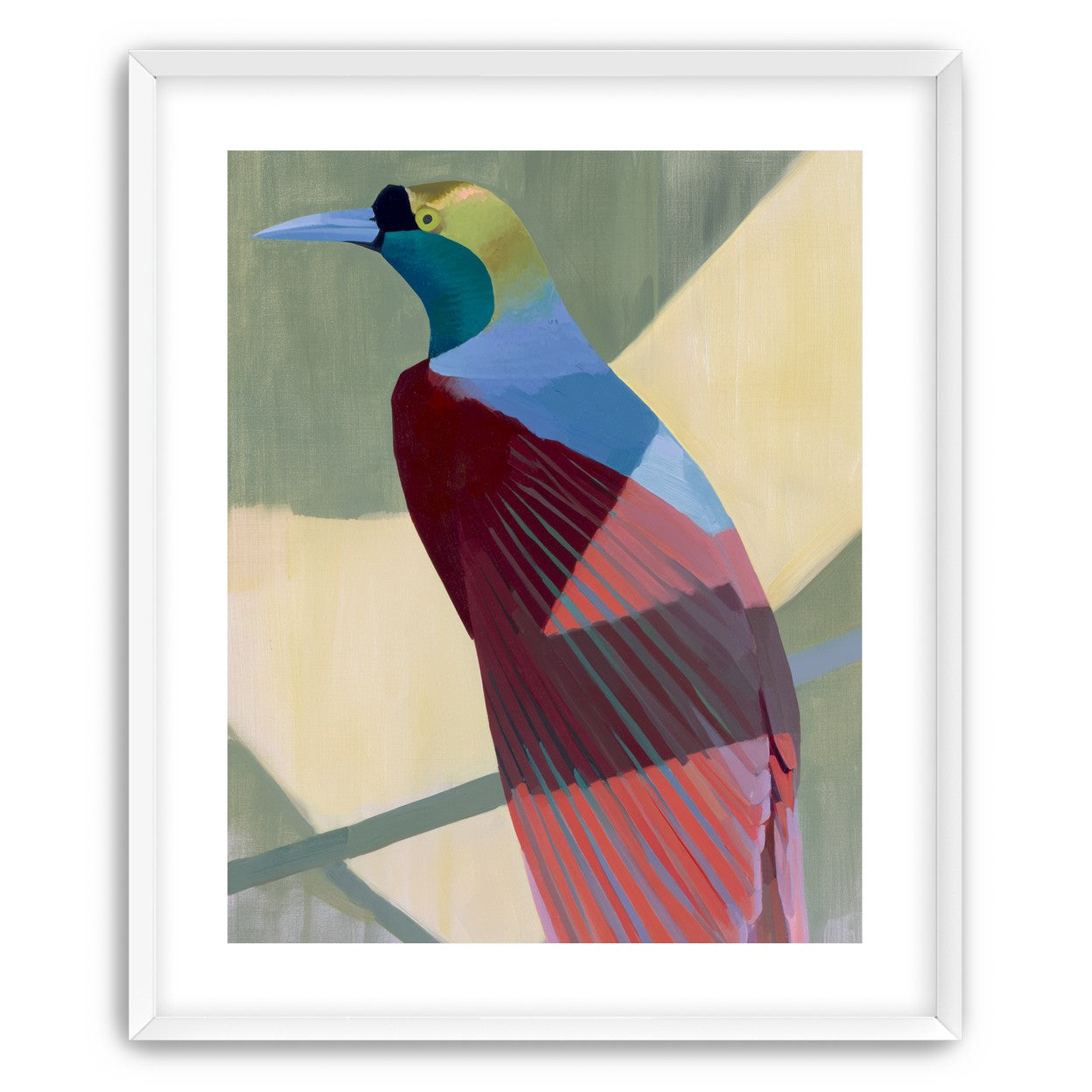 Teal throat on maroon wing