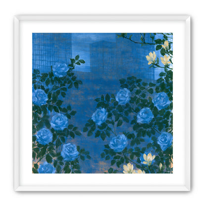 Roses against the blue towers