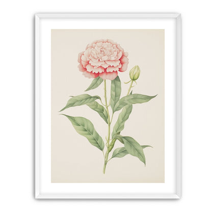 Delicate Blush