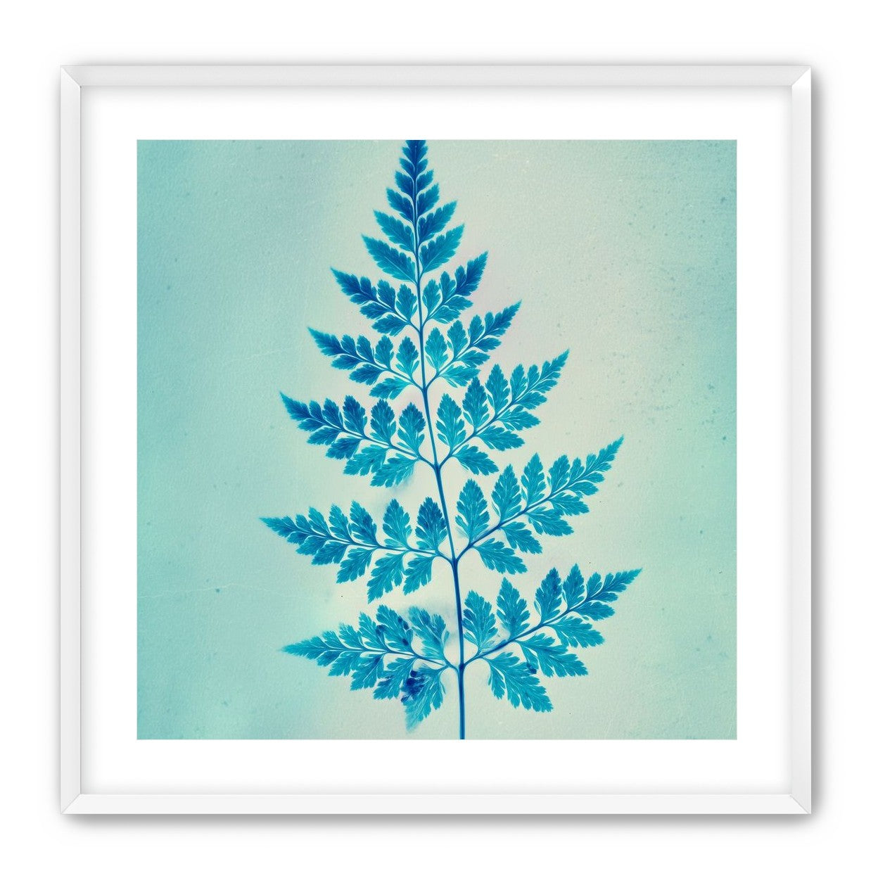 stems and leaves