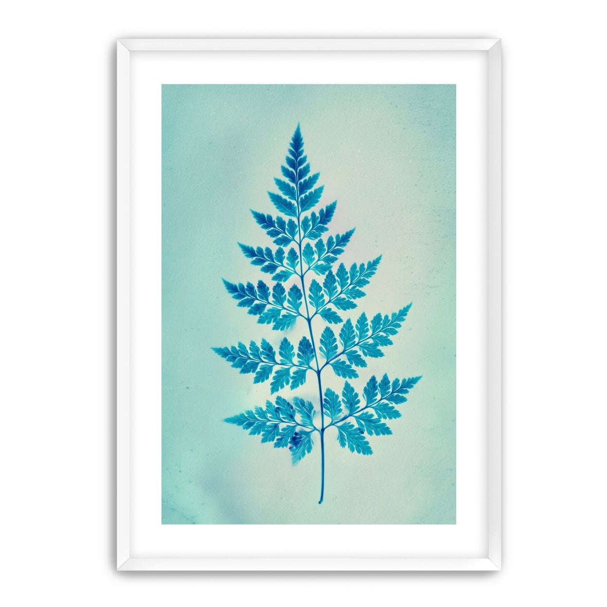 stems and leaves