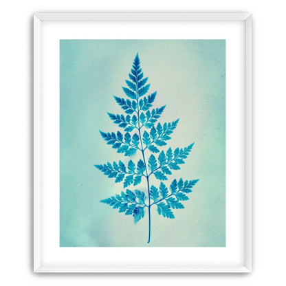 stems and leaves