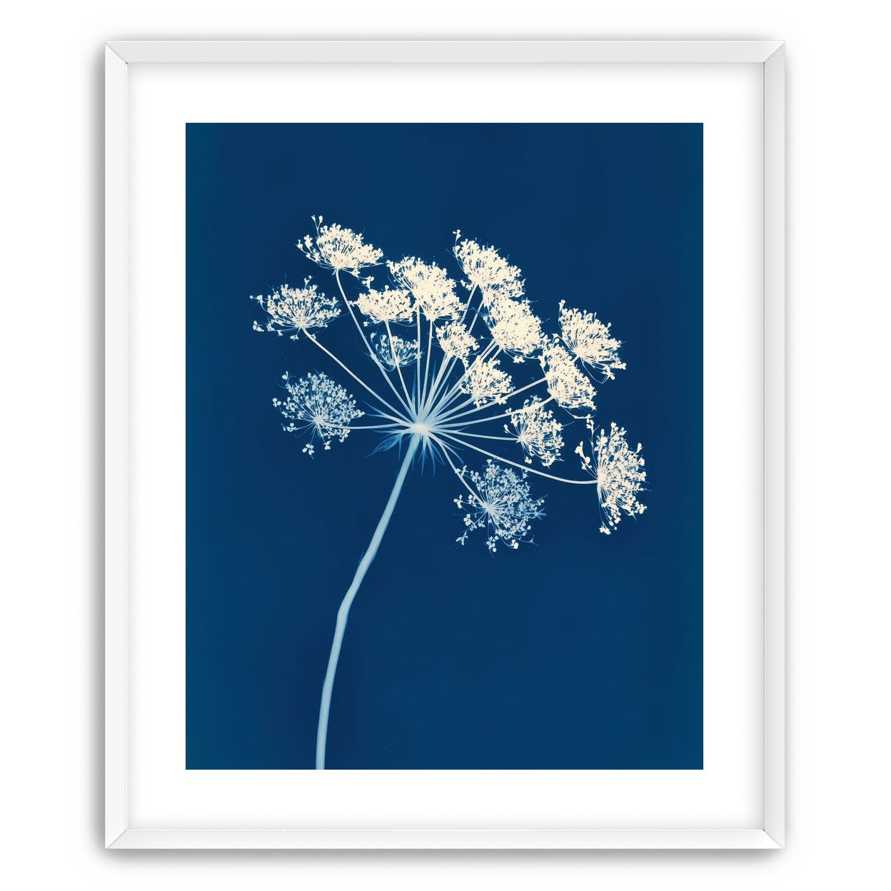 Midnight Bloom
